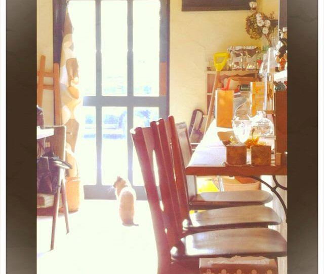 ｛仮｝（カッコカリ）（高岡市）古い町家を改装したカフェ＆アンティーク雑貨のお店